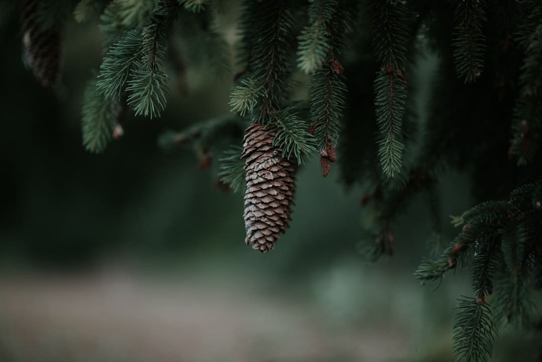 盯着拾荒老人不放，是怜悯？还是想遮羞？